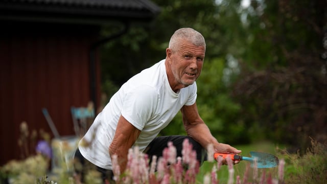 Stein Tore hviler på ett kne mens han luker i bedet. Han har en planteskje i hånden.