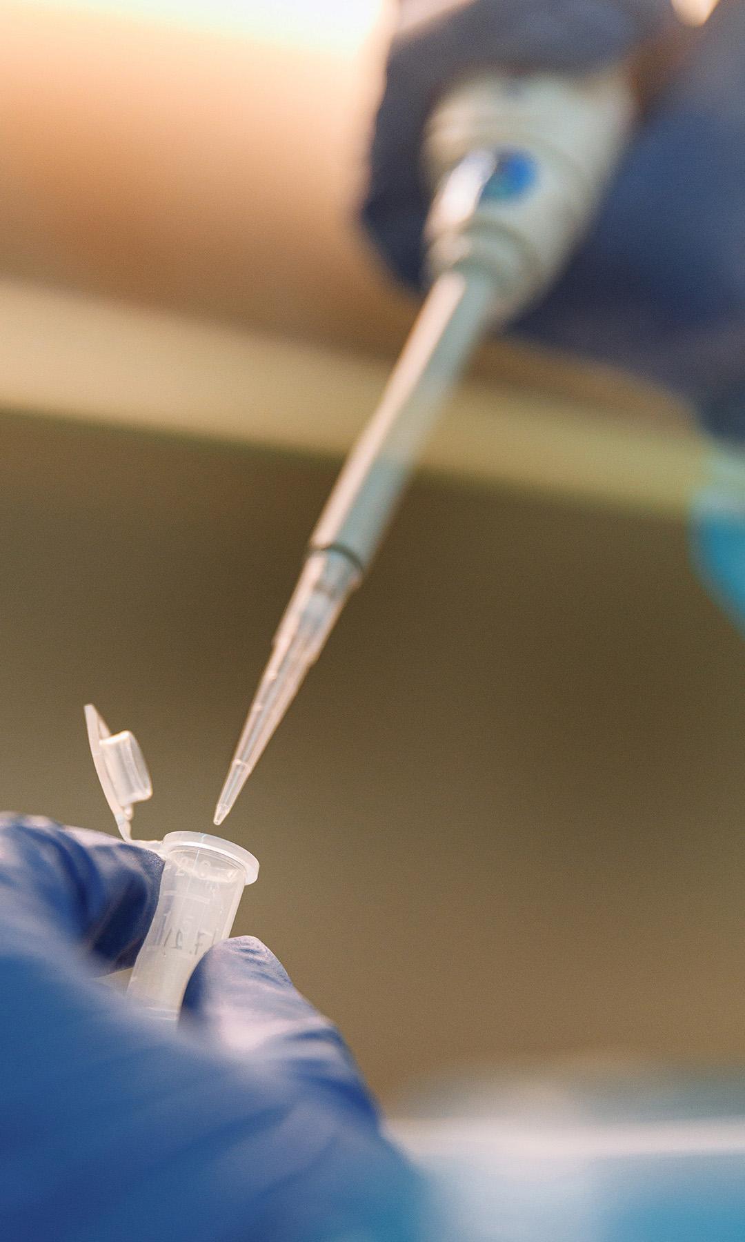 Nærbilde av overføring fra pipette til testrør i forbindelse med kliniske studier for utvikling av nye behandlingsmetoder for metastatisk bryskreft. Illustrasjonsfoto.